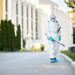 La importancia de frenar a tiempo la plaga de la procesionaria del pino mediante el control de plagas